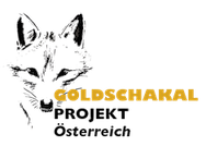 Goldschakalprojekt Österreich